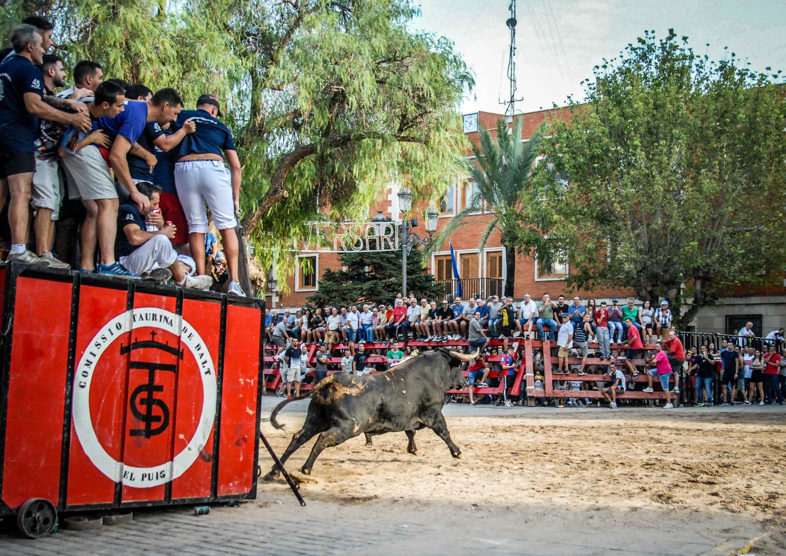 Acte de bous al carrer amb públic i barreres